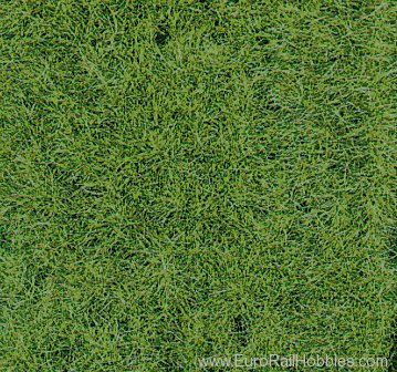 Heki 1871 2 Wild Grass Mat - Medium 40x25 cm