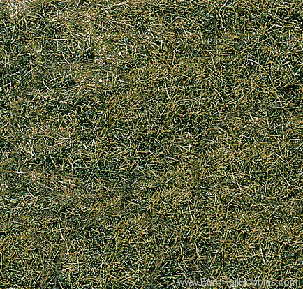 Heki 1872 2 Wild Grass Mat - Earth tone 40x25cm