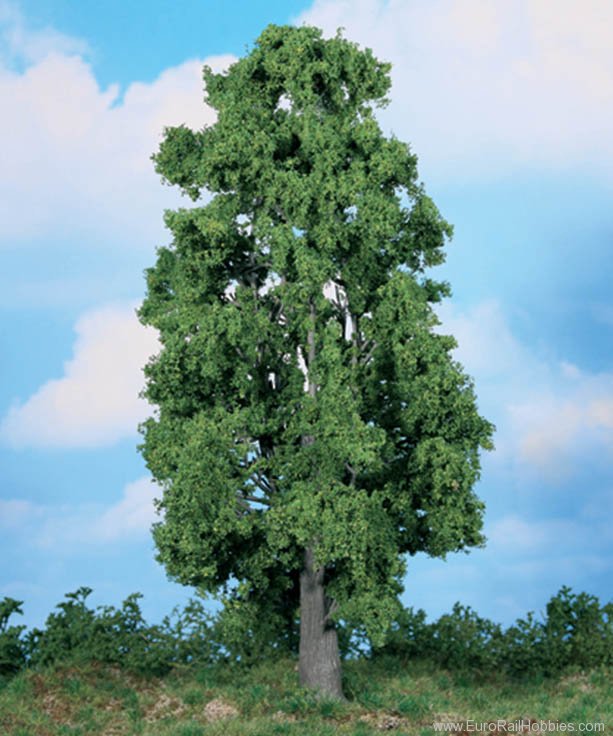 Heki 1988 1 chestnut tree 30 cm
