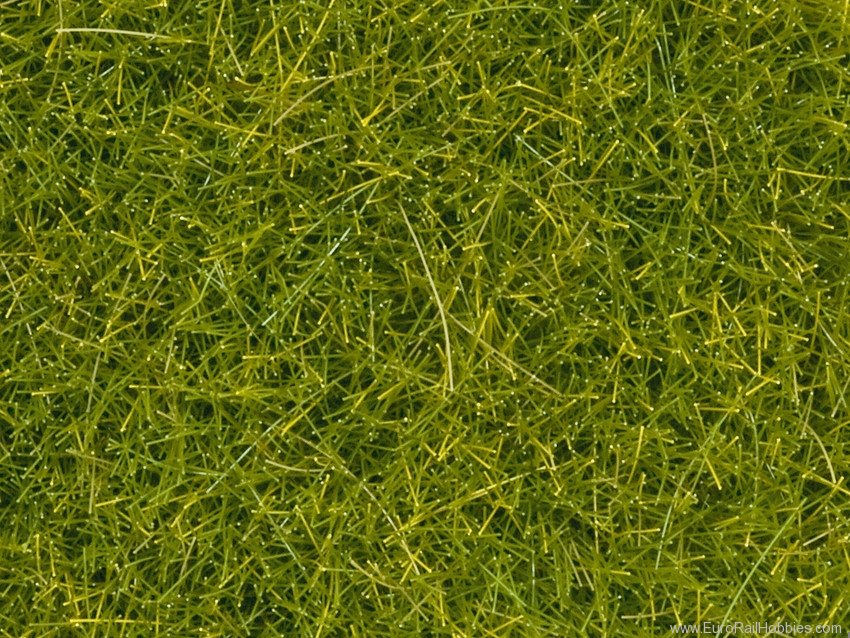 Noch 08363 Scatter Grass, Light Green