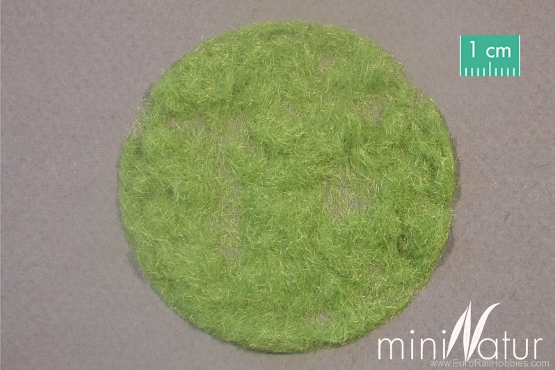 Silhouette Silflor MiniNatur 002-21 Gras-Flock 2 mm, Spring (50 g)