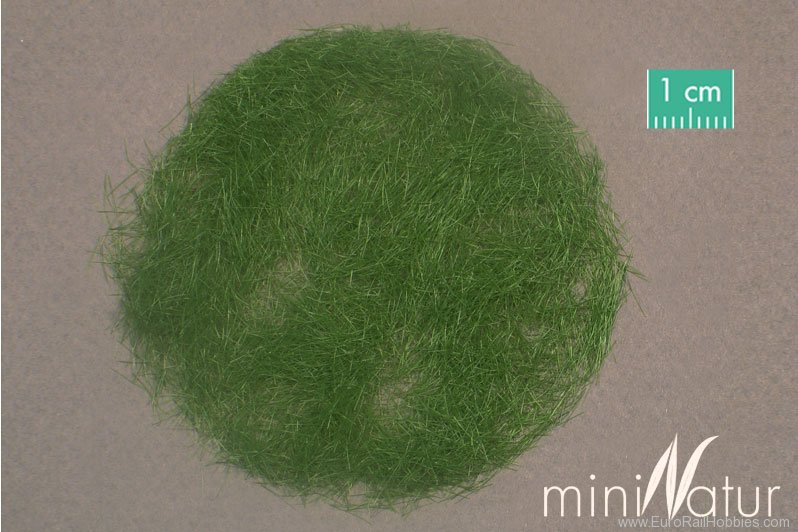 Silhouette Silflor MiniNatur 006-32 Gras-Flock 6,5 mm, Summer (50 g)