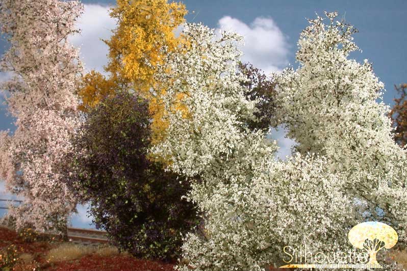 Silhouette Silflor MiniNatur 200-15S Filigree bush, Blooming (up to 13cm)