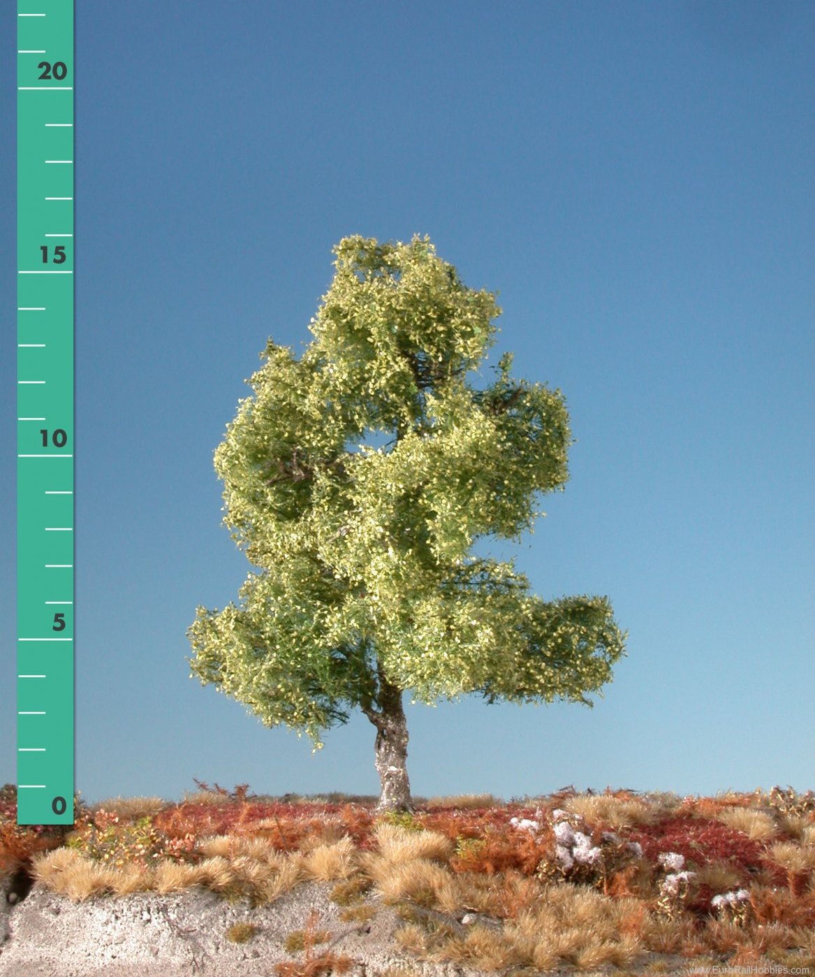 Silhouette Silflor MiniNatur 210-01 Moor birch, Spring (up to 8cm)