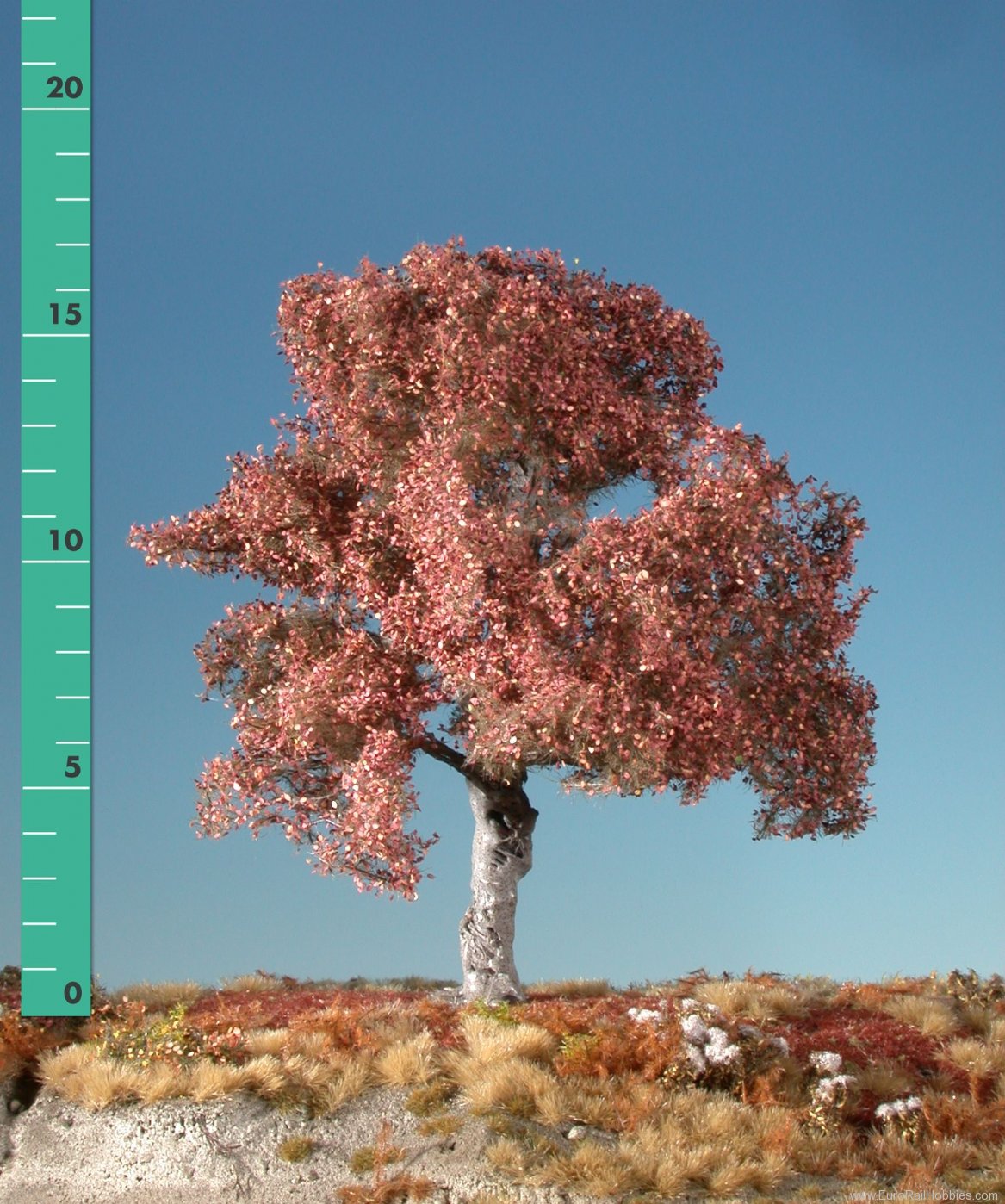 Silhouette Silflor MiniNatur 220-04 Beech, Late Fall (up to 8cm)