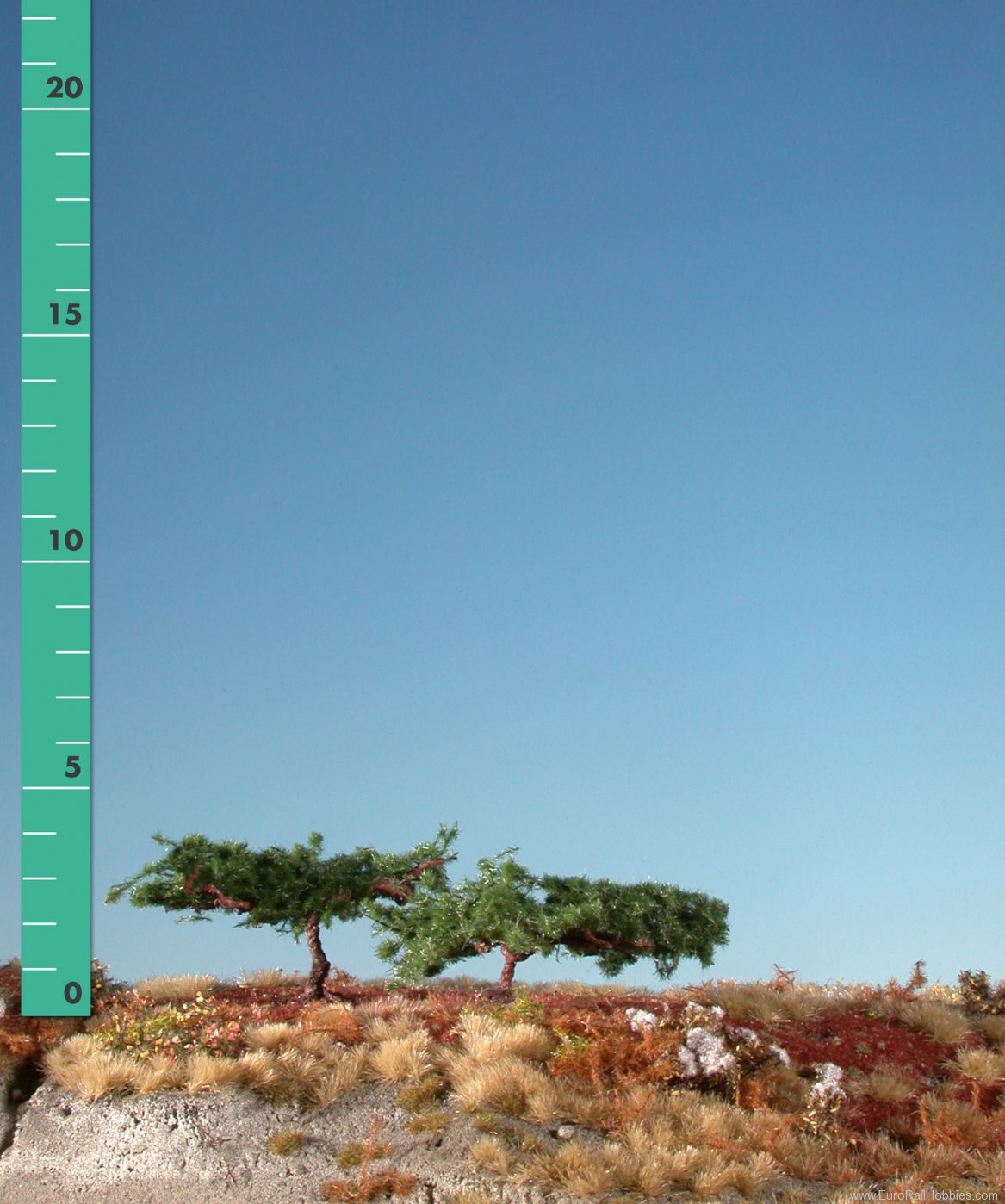 Silhouette Silflor MiniNatur 271-12 Japan ese pine, Summer (10-13cm)
