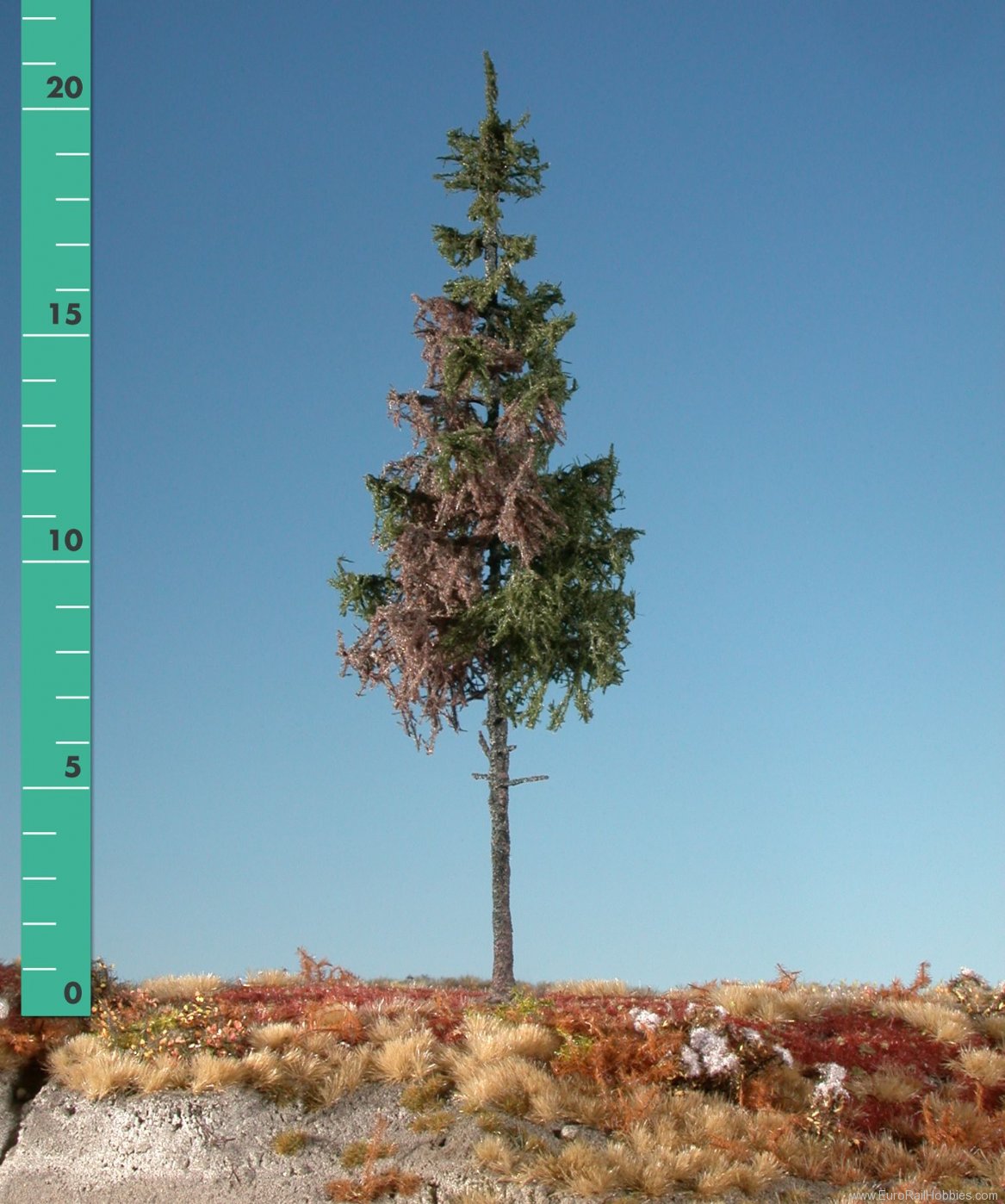 Silhouette Silflor MiniNatur 274-26 Weathered green spruce high trunk, Summer (15