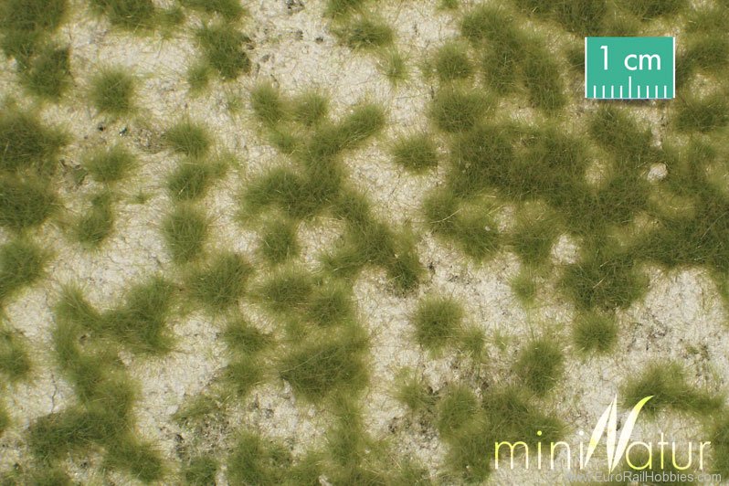 Silhouette Silflor MiniNatur 719-21G Calcareous meadow, Spring (63x50 cm)