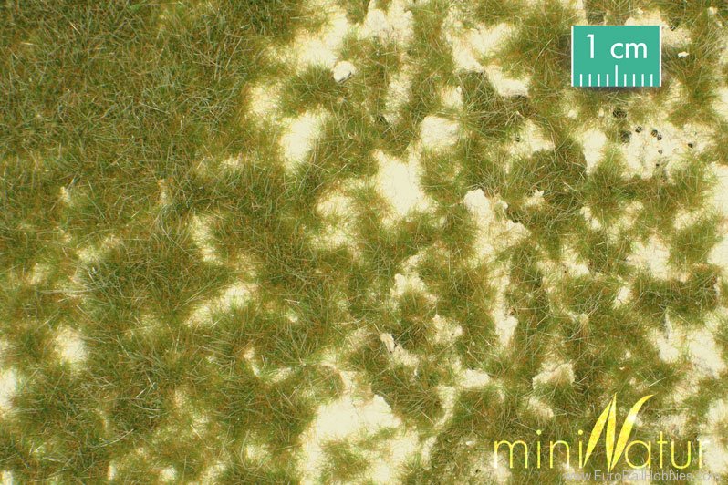 Silhouette Silflor MiniNatur 719-23G Calcareous meadow, Early Fall (63x50 cm)