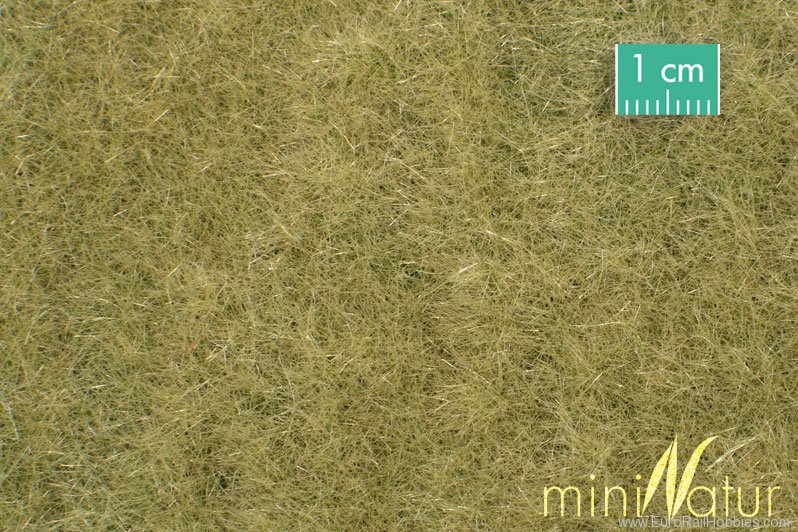 Silhouette Silflor MiniNatur 720-24H Meadow, Late Fall (50x31,5 cm)
