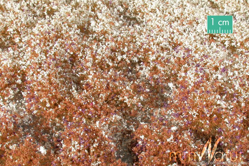 Silhouette Silflor MiniNatur 726-34 Blossom tufts, Late Fall (42x15 cm)