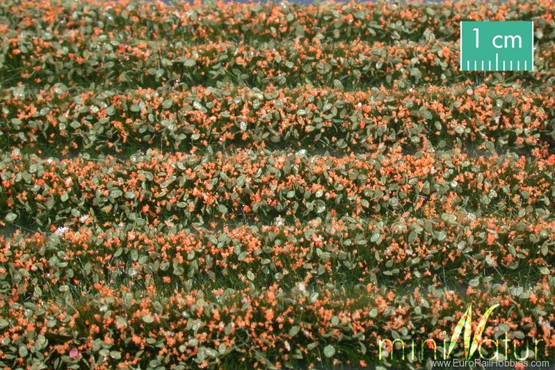 Silhouette Silflor MiniNatur 731-25 Blossom strips, orange (336 cm)