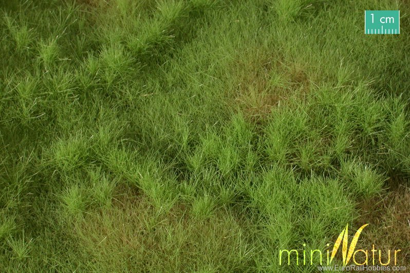 Silhouette Silflor MiniNatur 733-21H Fertileplain meadow, Spring (50x31,5 cm)