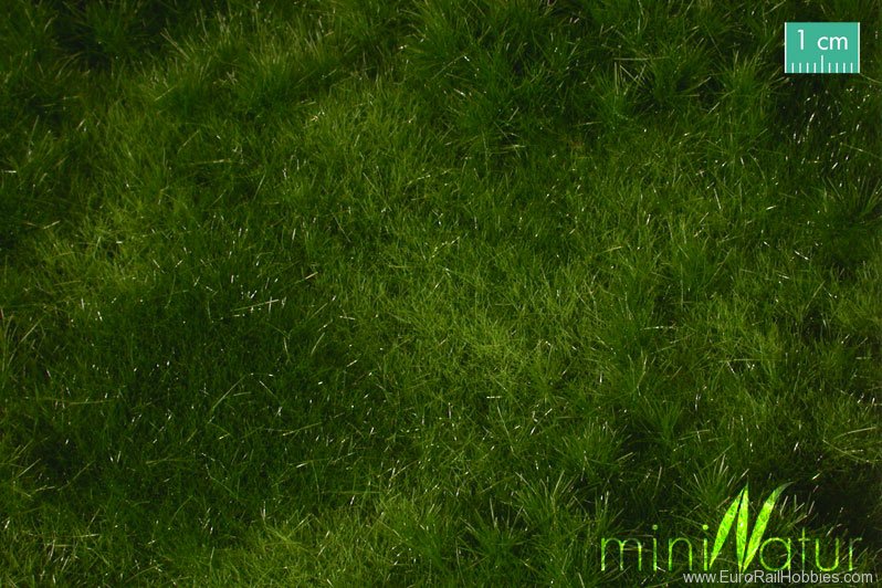 Silhouette Silflor MiniNatur 733-22S Fertileplain meadow, Summer (25x15,5 cm)