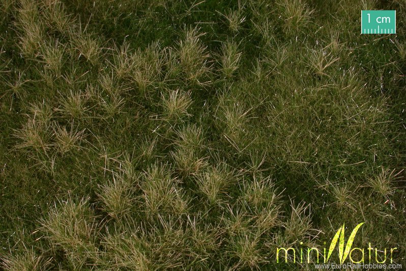 Silhouette Silflor MiniNatur 733-23G Fertileplain meadow, Early Fall (63x50 cm)