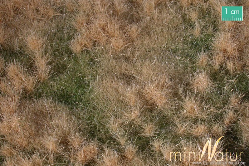 Silhouette Silflor MiniNatur 733-24G Fertileplain meadow, Late Fall (63x50 cm)