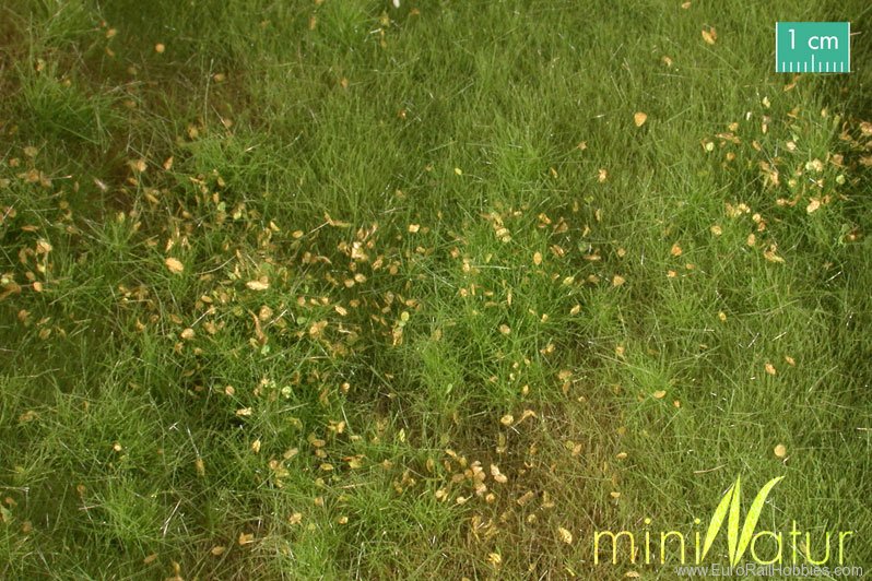 Silhouette Silflor MiniNatur 734-21G Fertile plain meadow with weeds, Spring (63x5