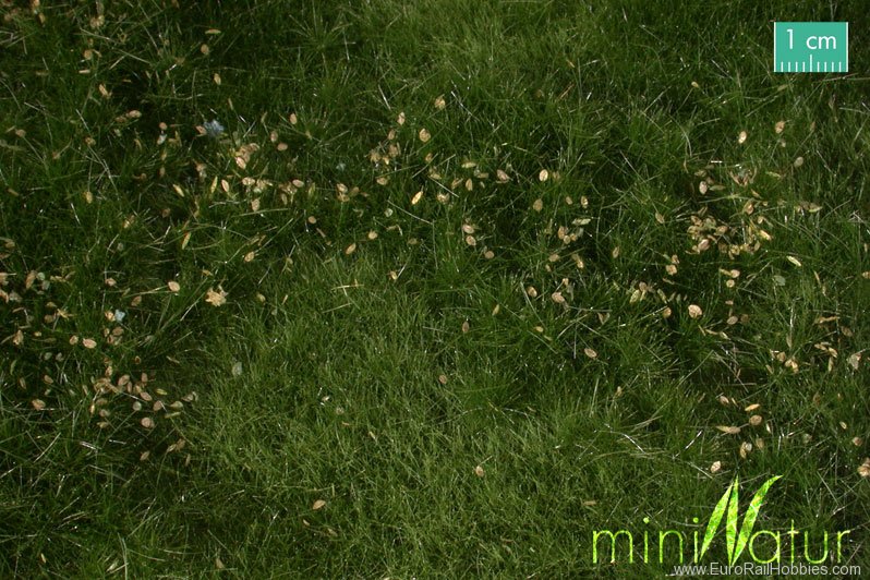 Silhouette Silflor MiniNatur 734-22H Fertile plain meadow with weeds, Summer (50x3