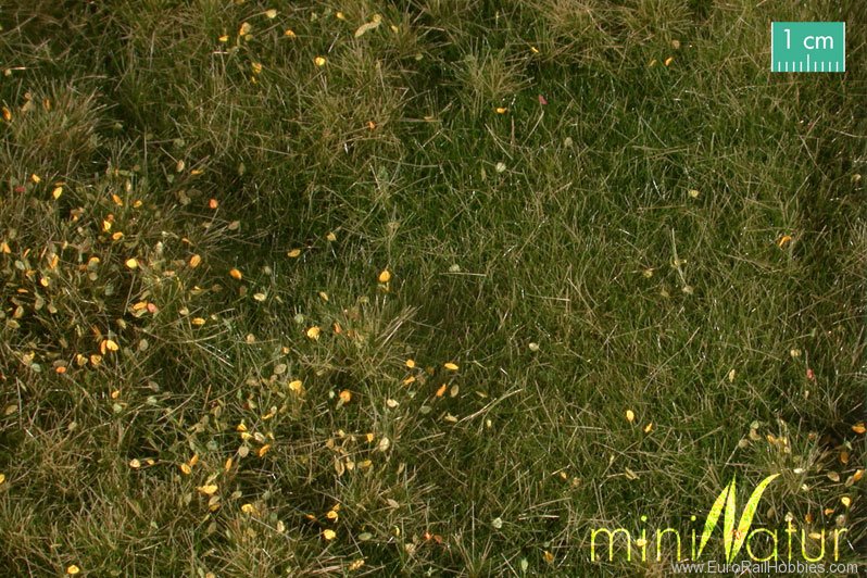 Silhouette Silflor MiniNatur 734-23H Fertile plain meadow with weeds, Early Fall (