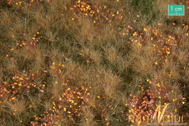Silhouette Silflor MiniNatur 734-24S Fertile plain meadow with weeds, Late Fall (2