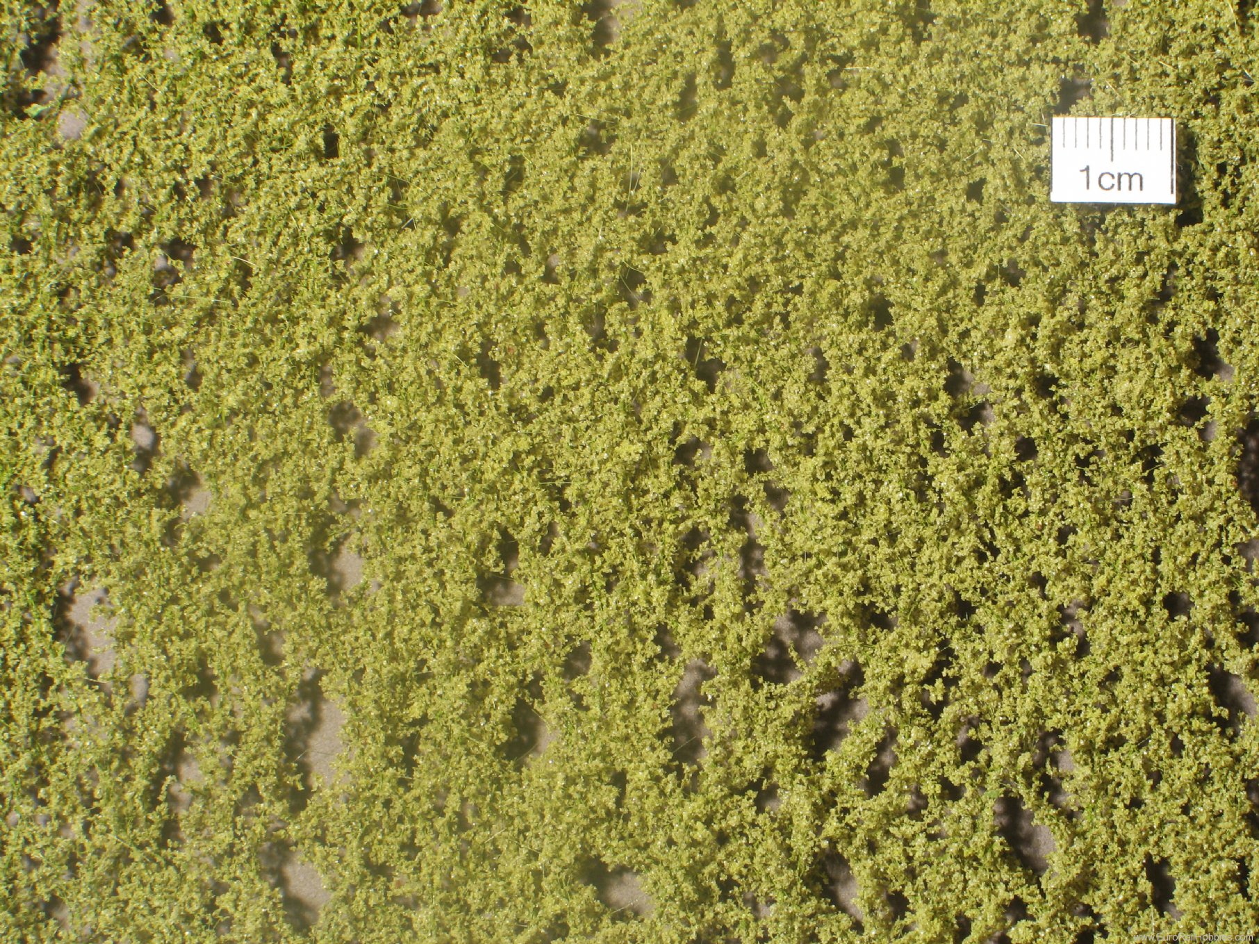 Silhouette Silflor MiniNatur 910-11G Birch foliage, Spring (63x50 cm)