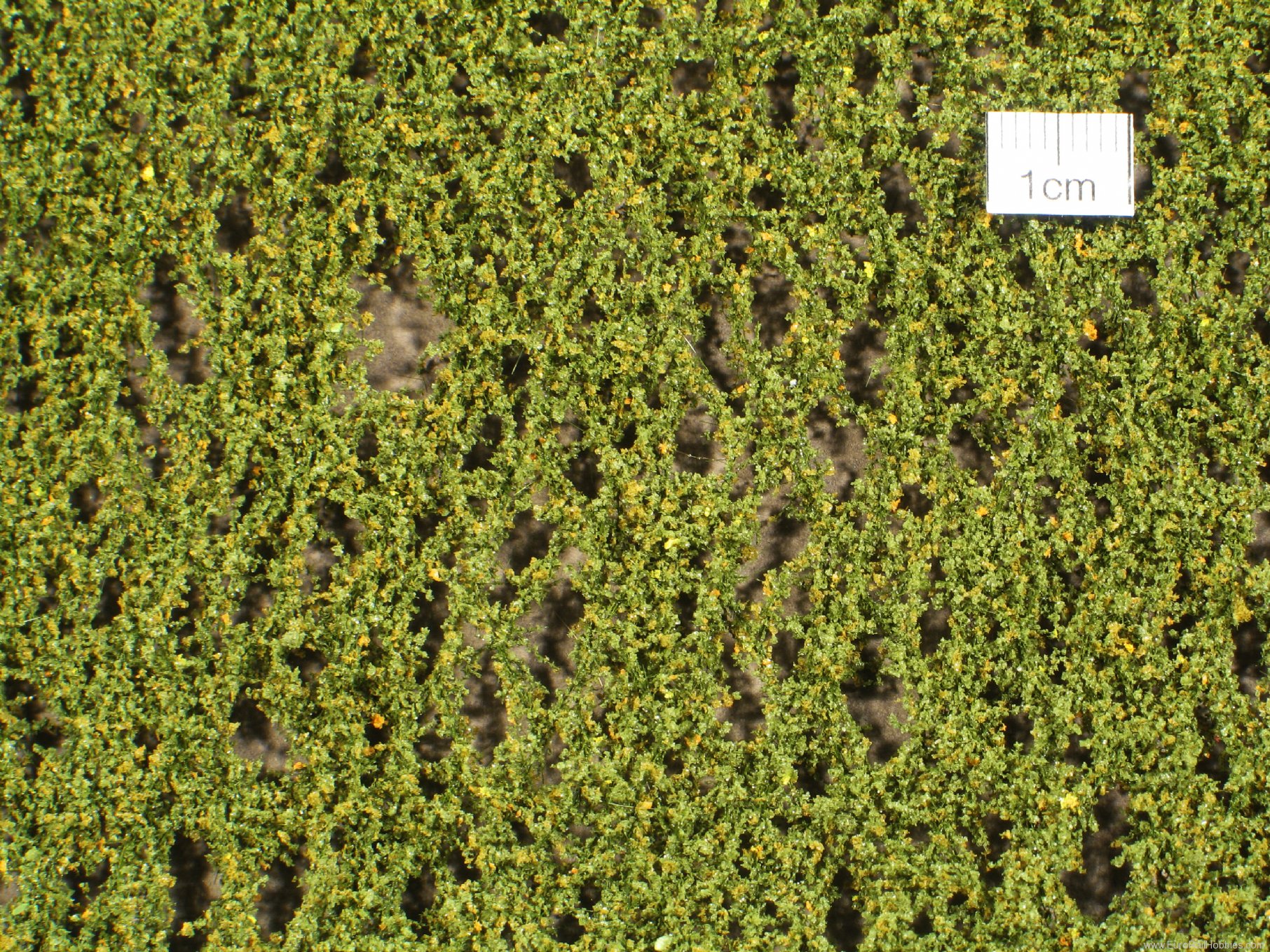 Silhouette Silflor MiniNatur 910-13H Birch foliage, Early Fall (50x31,5 cm)