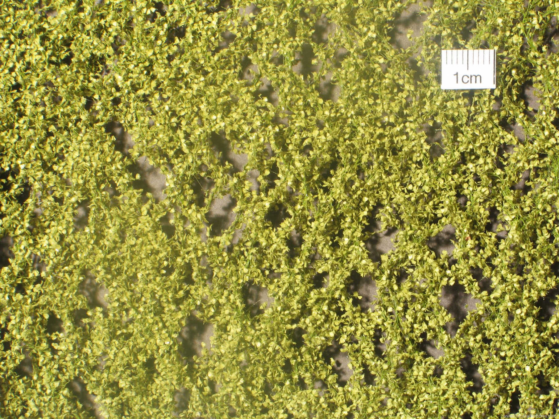 Silhouette Silflor MiniNatur 910-21G Birch foliage, Spring (63x50 cm)