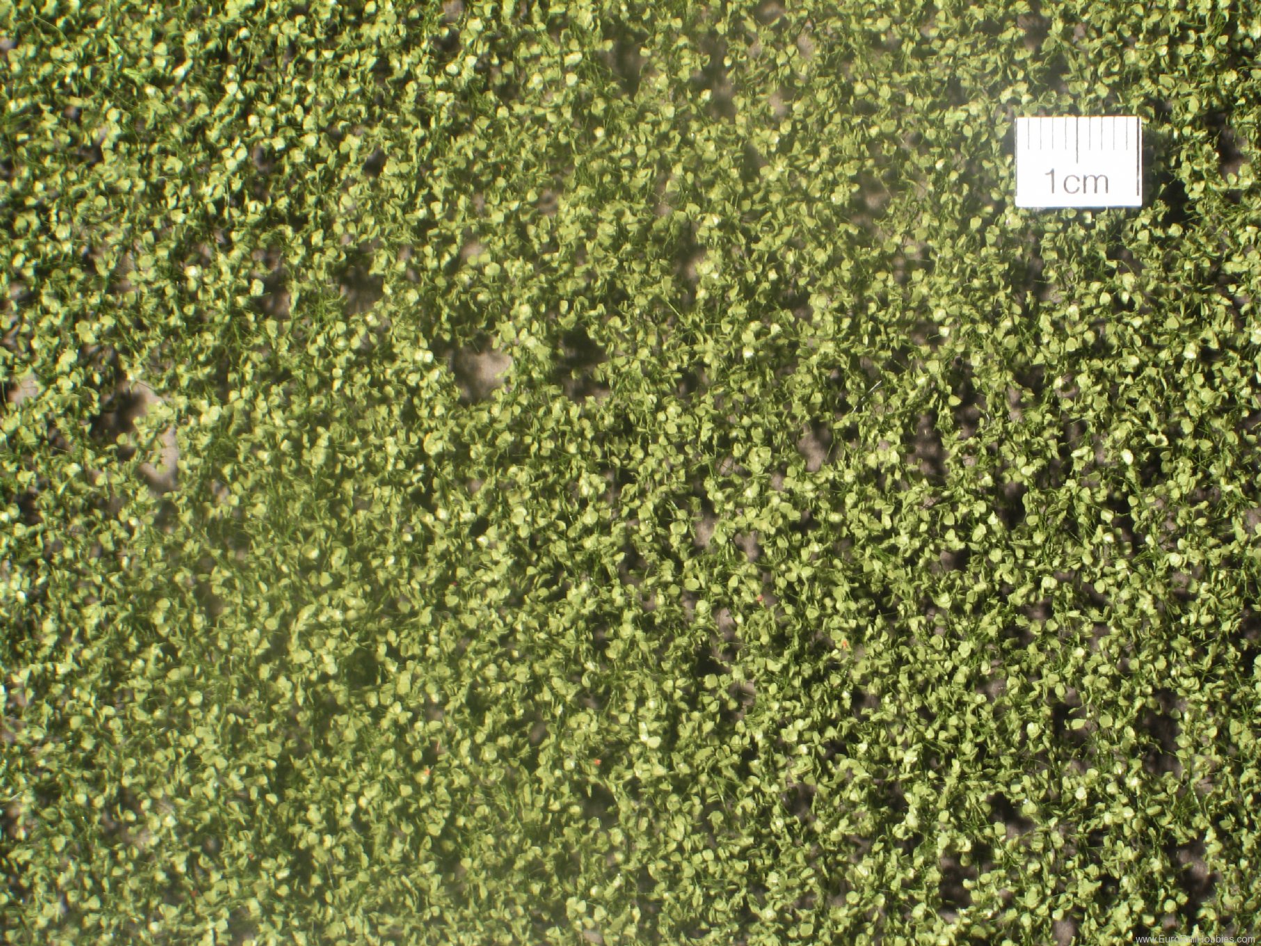 Silhouette Silflor MiniNatur 910-22G Birch foliage, Summer (63x50 cm)
