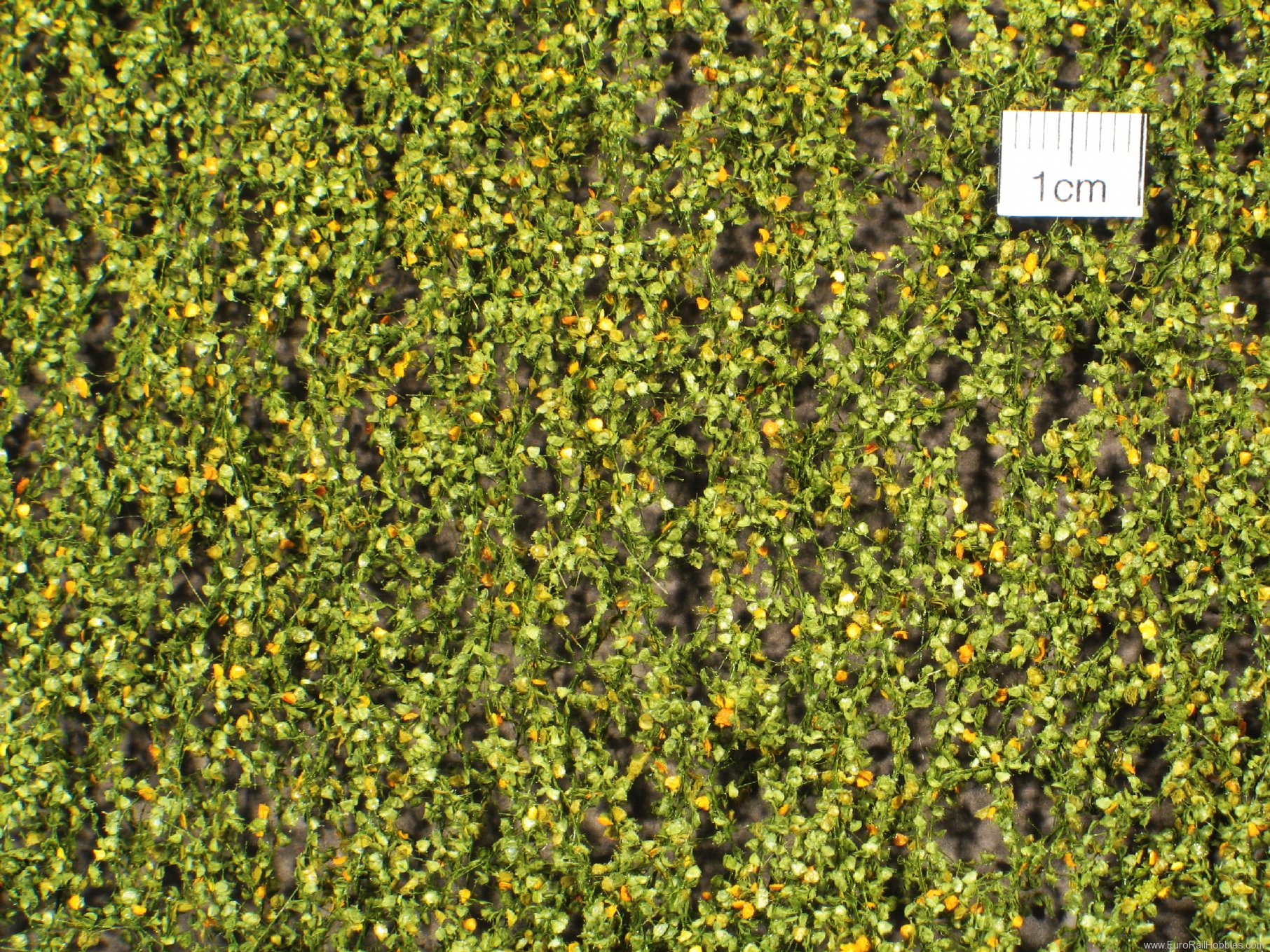 Silhouette Silflor MiniNatur 910-23 Birch foliage, Early Fall (27x15 cm)