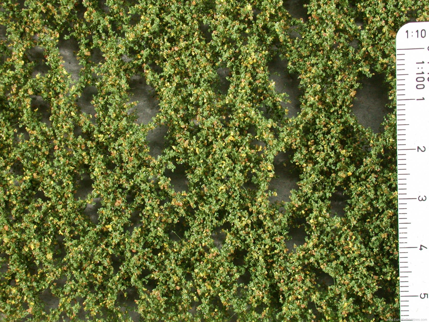 Silhouette Silflor MiniNatur 913-13G Lombardy poplar foliage, Early Fall (63x50 cm