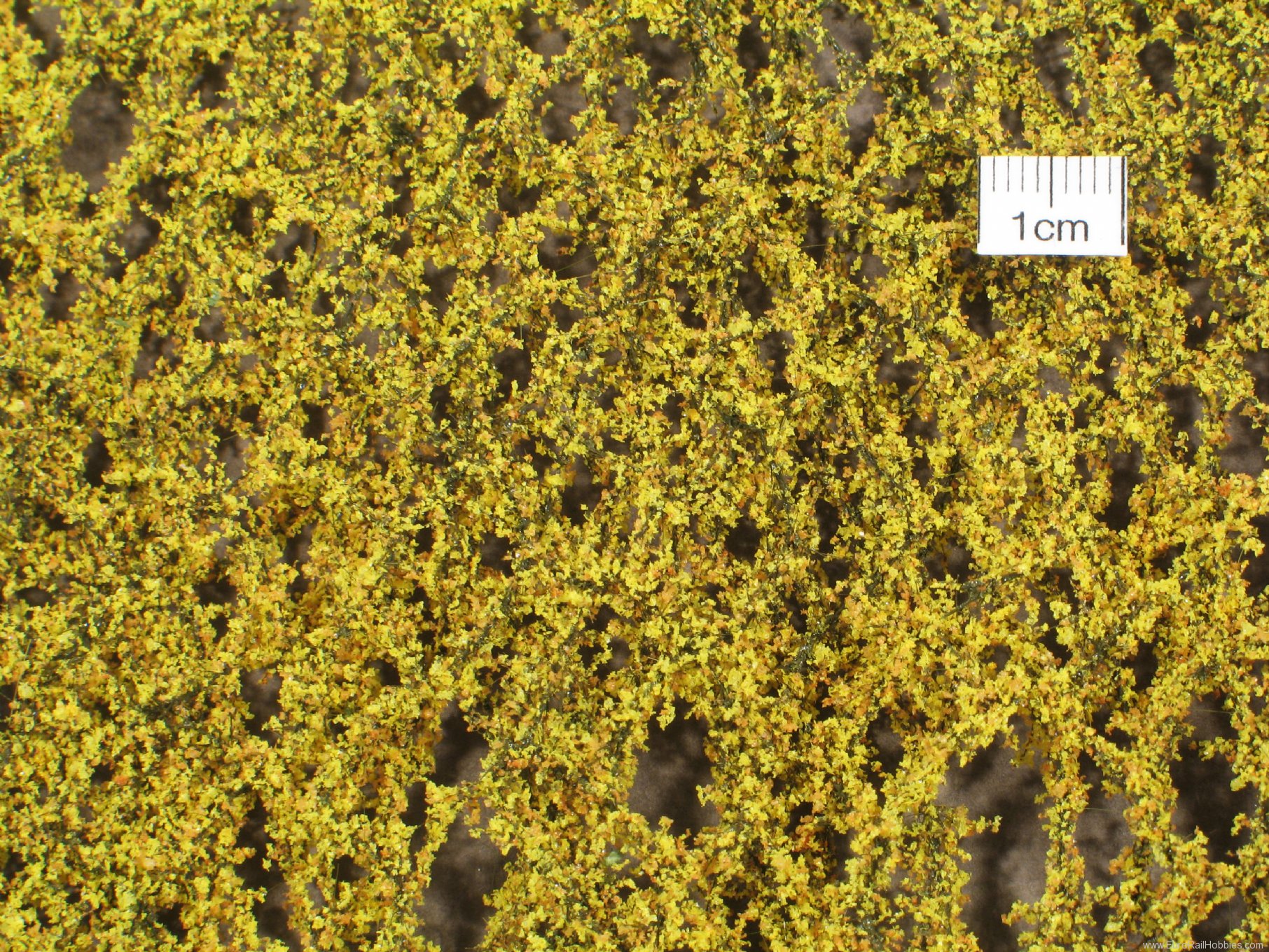 Silhouette Silflor MiniNatur 913-14 Lombardy poplar foliage, Late Fall (27x15 cm)