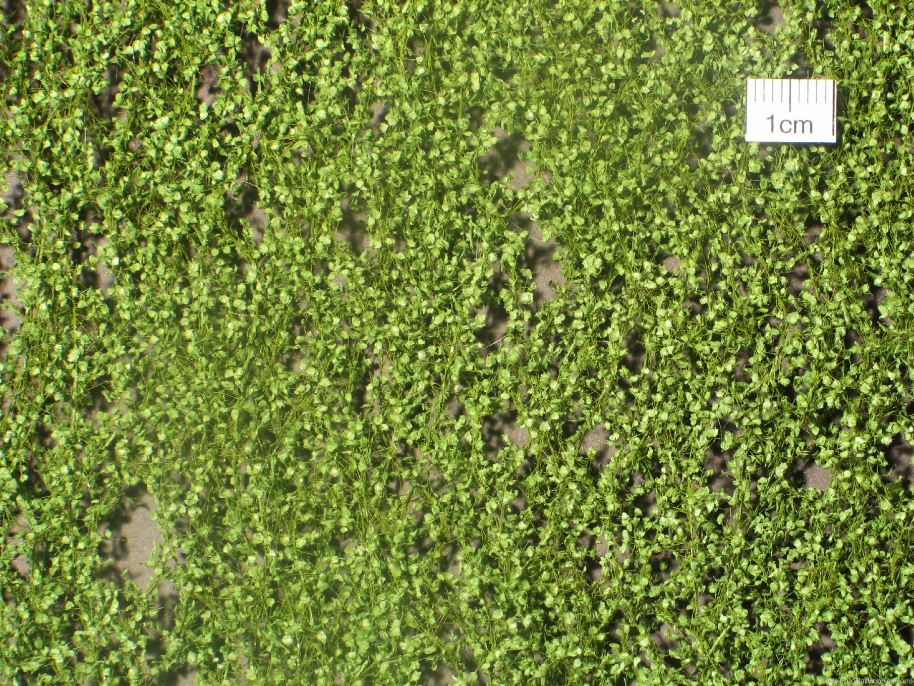 Silhouette Silflor MiniNatur 913-21G Lombardy poplar foliage, Spring (63x50 cm)