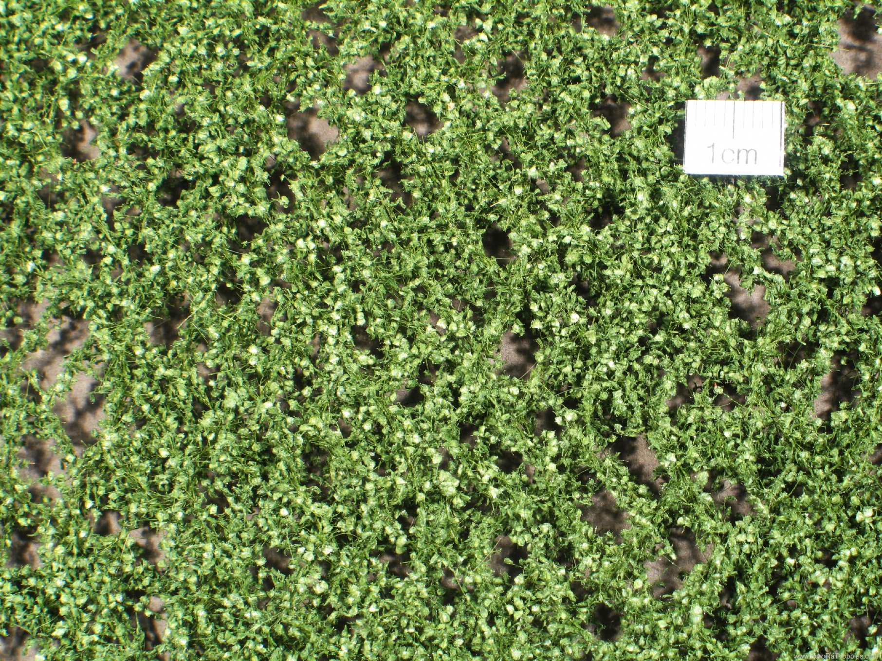 Silhouette Silflor MiniNatur 913-22 Lombardy poplar foliage, Summer (27x15 cm)