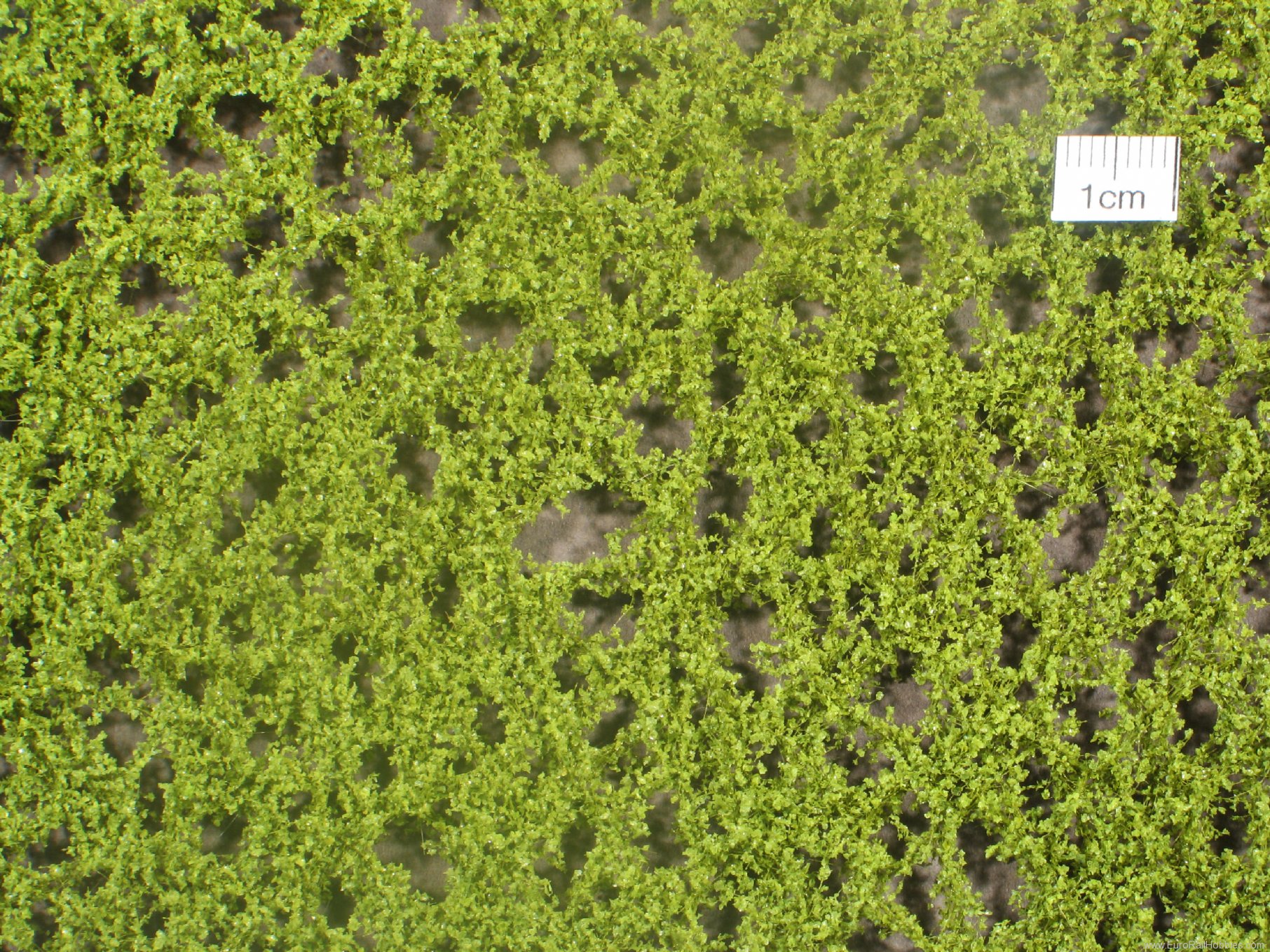 Silhouette Silflor MiniNatur 920-11G Beech foliage, Spring (63x50 cm)