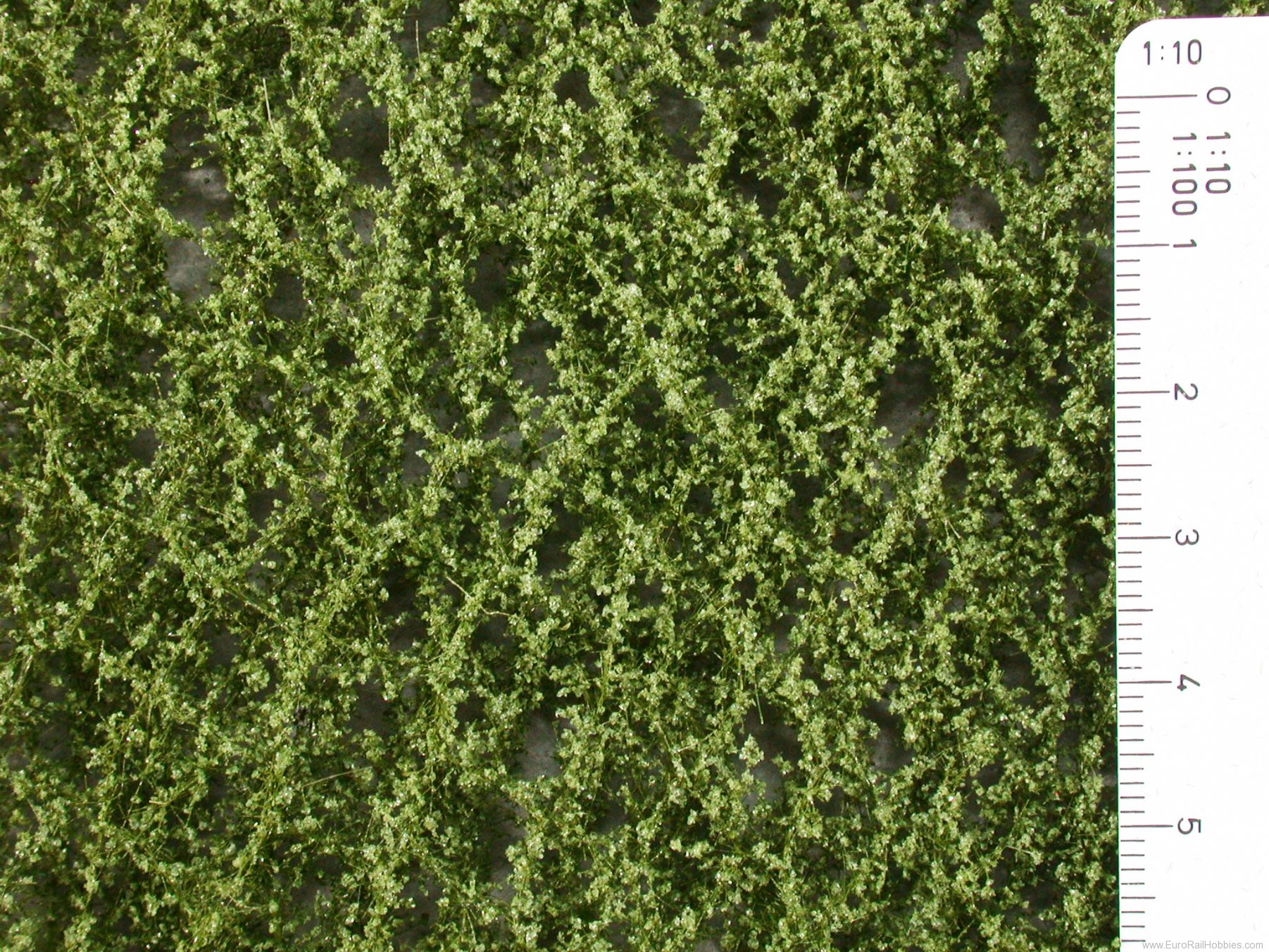 Silhouette Silflor MiniNatur 920-12G Beech foliage, Summer (63x50 cm)