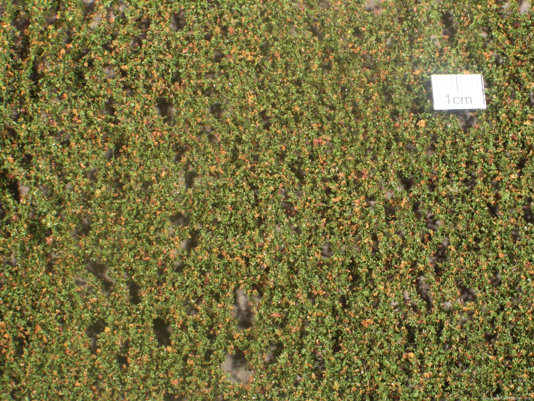 Silhouette Silflor MiniNatur 920-13H Beech foliage, Early Fall (50x31,5 cm)