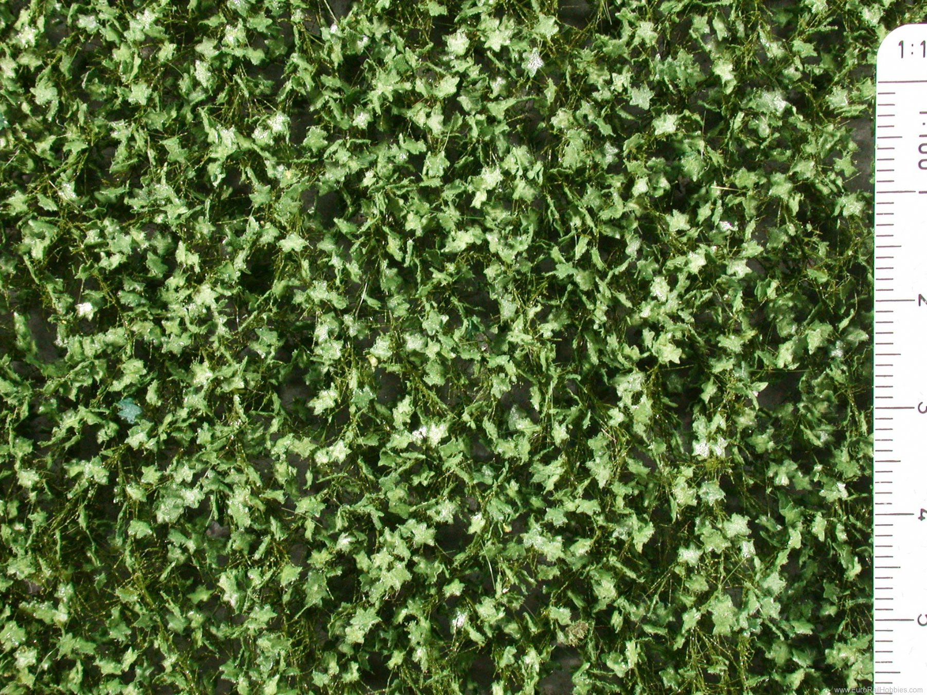 Silhouette Silflor MiniNatur 930-22 Maple foliage, Summer (27x15 cm)