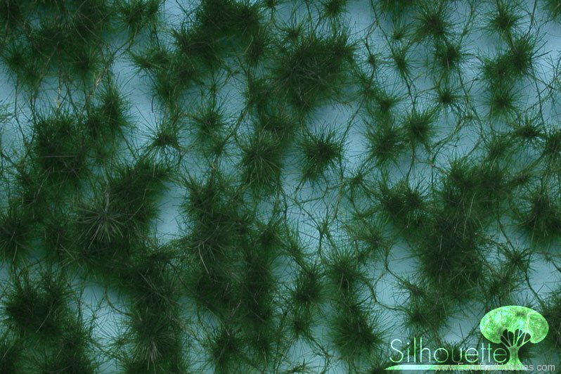 Silhouette Silflor MiniNatur 970-32 Forest pine, Summer (36x15 cm)