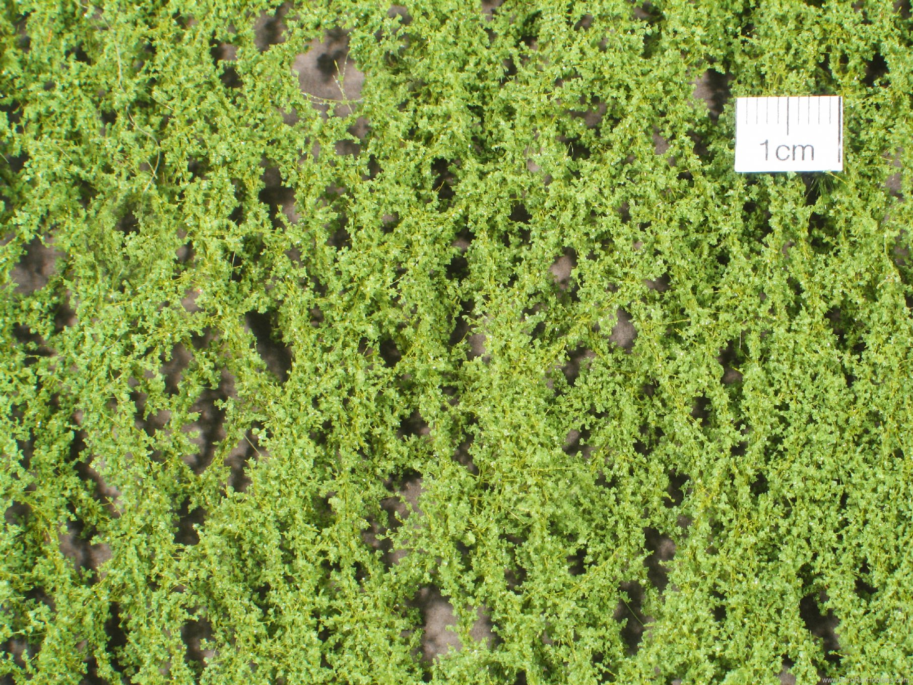 Silhouette Silflor MiniNatur 980-11 Oak foliage, Spring (27x15 cm)