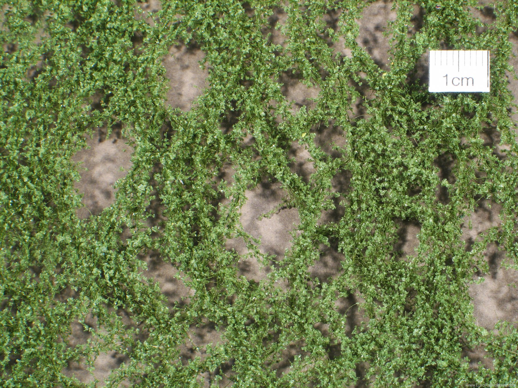 Silhouette Silflor MiniNatur 980-12G Oak foliage, Summer (63x50 cm)