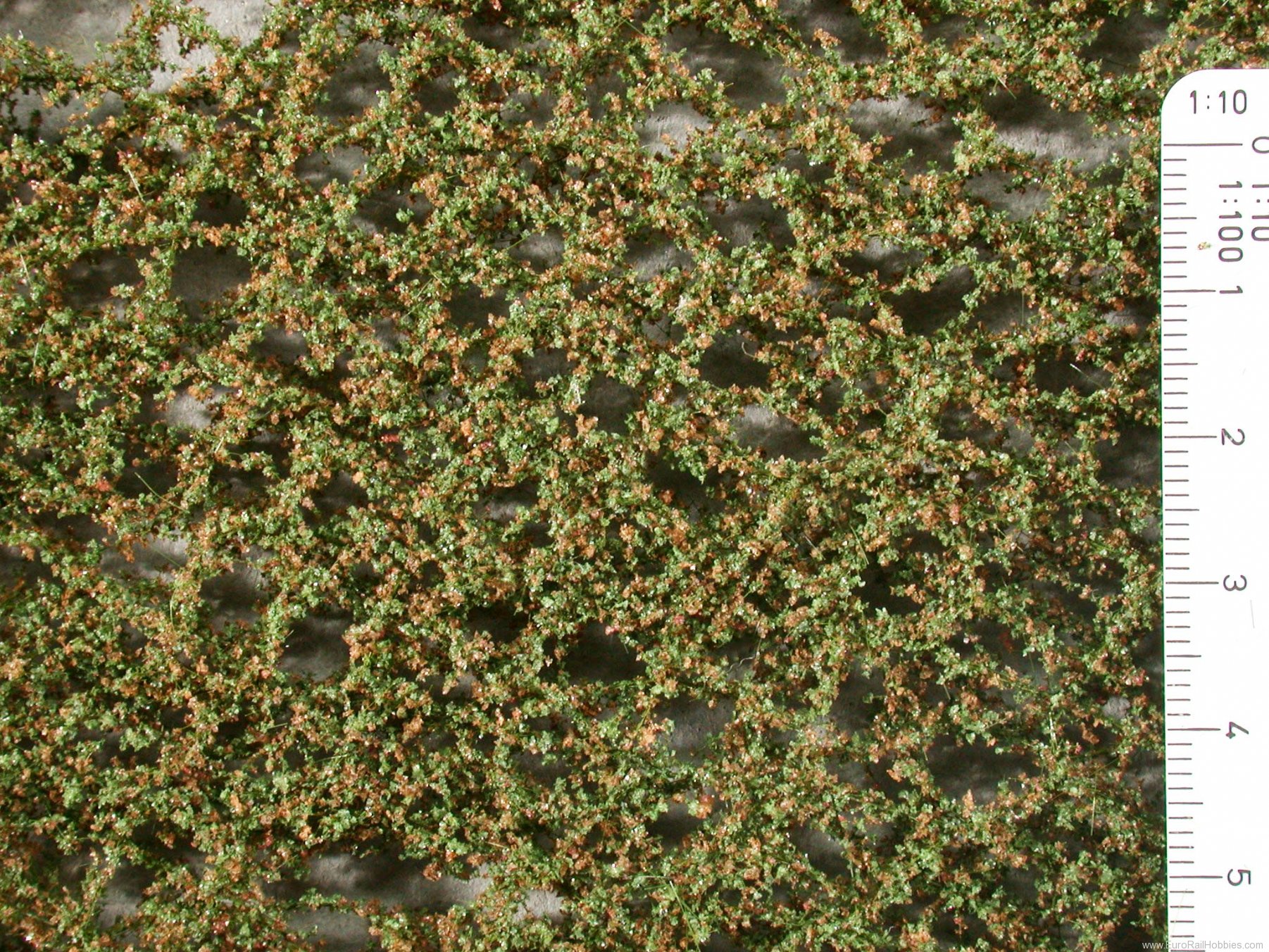 Silhouette Silflor MiniNatur 980-13G Oak foliage, Early Fall (63x50 cm)