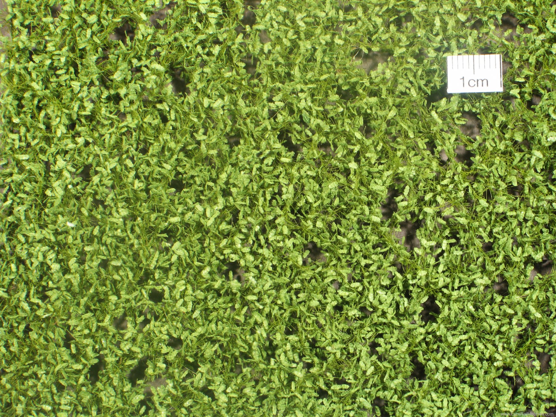 Silhouette Silflor MiniNatur 980-21G Oak foliage, Spring (63x50 cm)