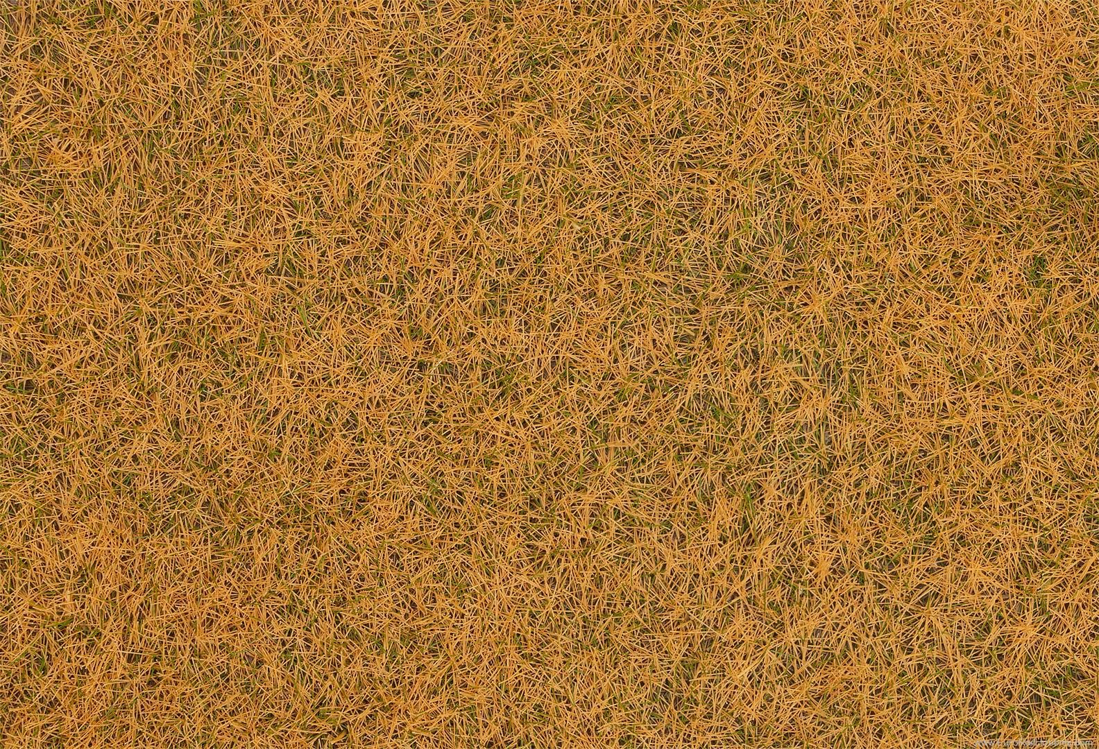 Faller 170224 Grass fibres, beige, 4 mm, 80 g
