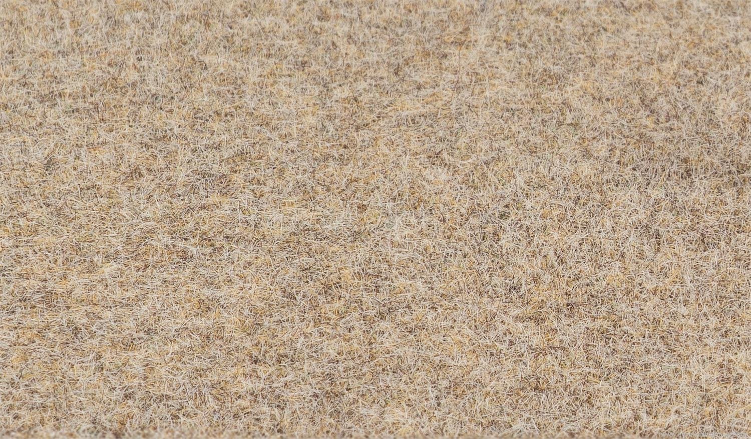 Faller 170200 Litter fibres, Winter Grass, 2-3 mm, 35 g