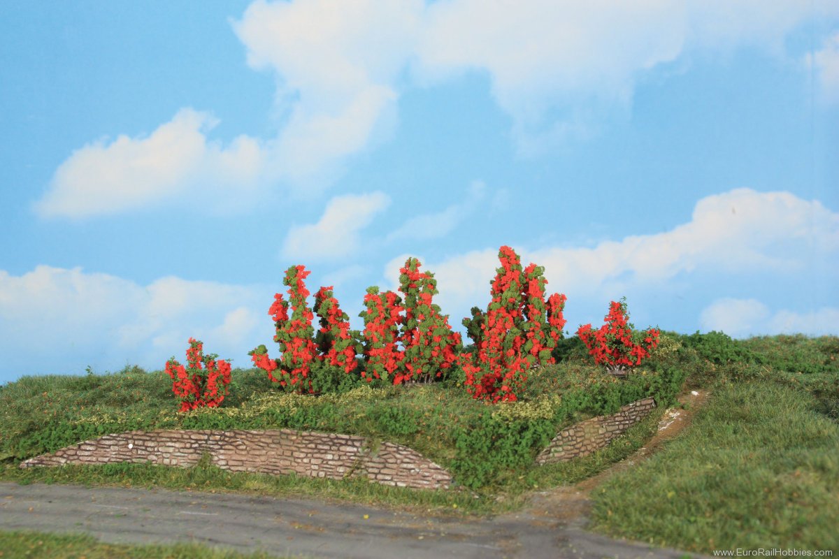 Heki 11801 Heki 6 Rose Bushes 3-6 cm