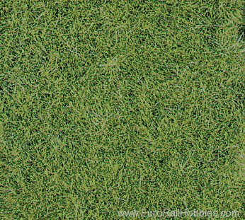Heki 1870 2 Wild Grass Mat - Light 40x25 cm
