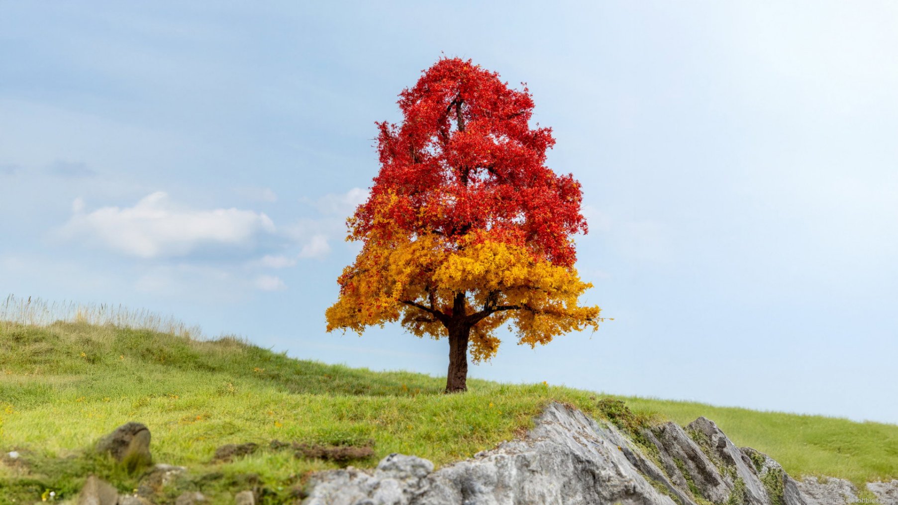 Noch 20114 Oak Tree, Autumn