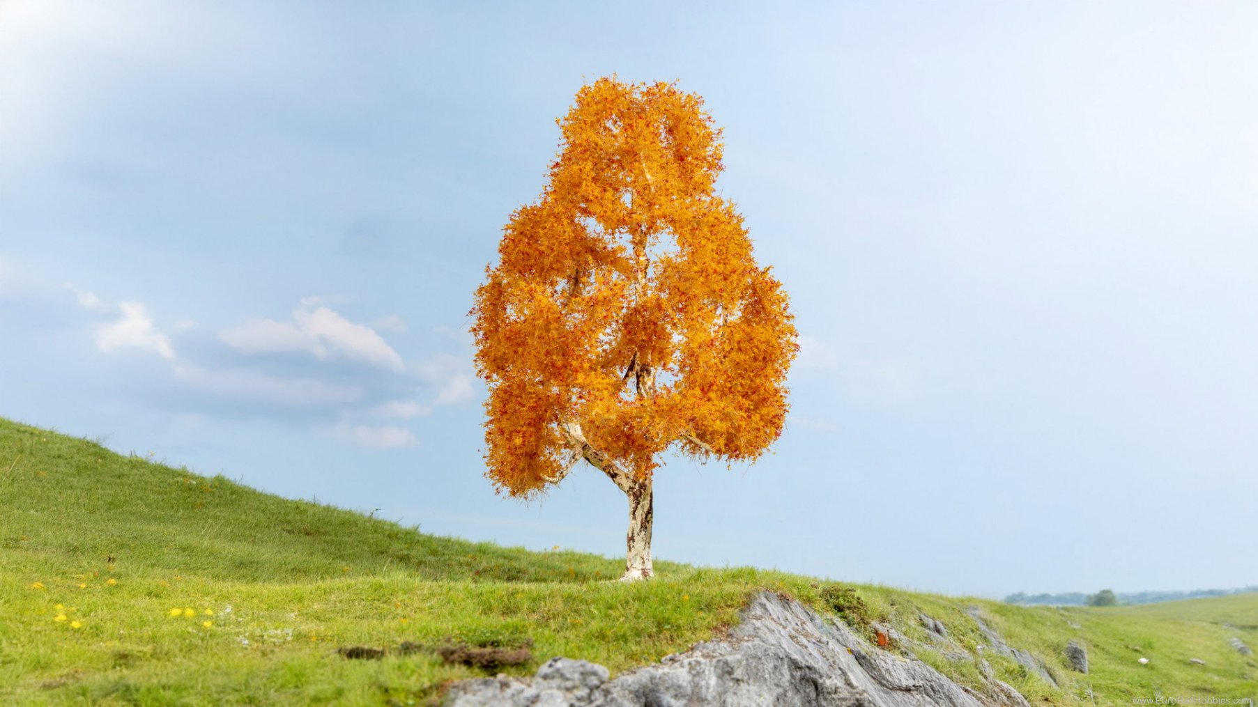 Noch 20129 Birch, Autumn