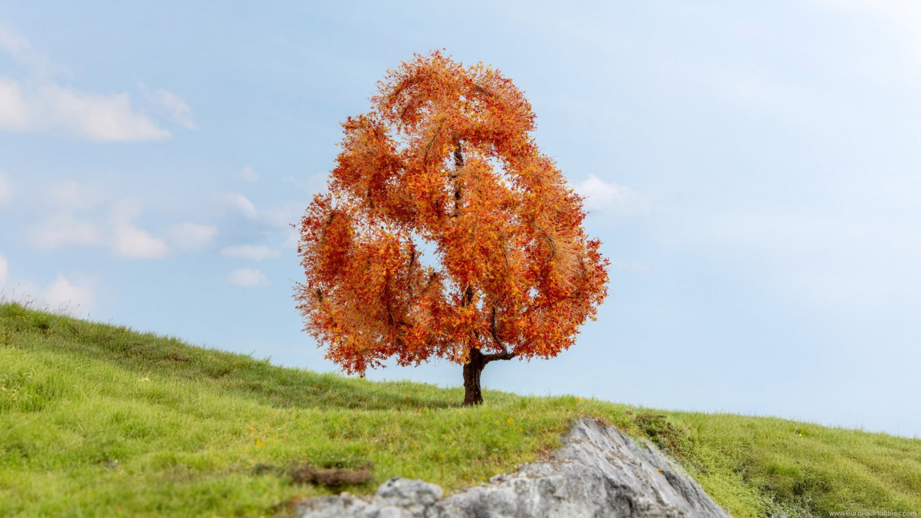 Noch 20155 Maple, Autumn