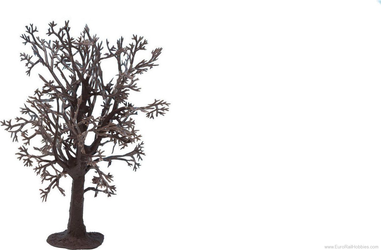 Noch 22010 Tree Structure Beech Tree